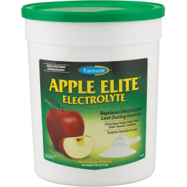 ELECTROLITO ORAL APPLE