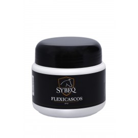 FLEXICASCOS SYBEQ 500 MG